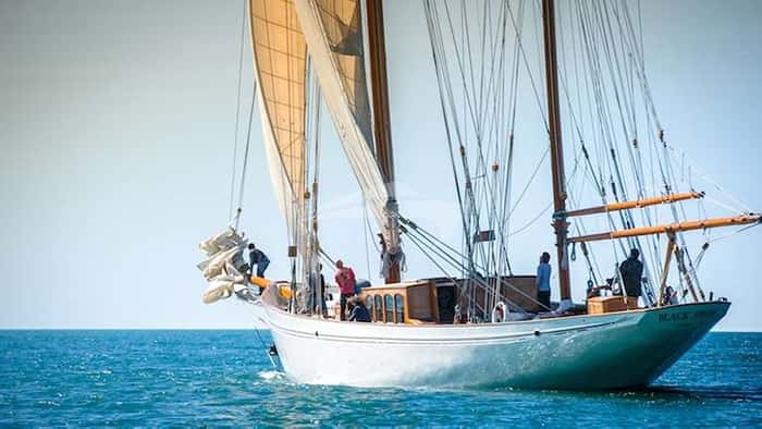 BLACK SWAN 40m sailing yacht charter, photo 2