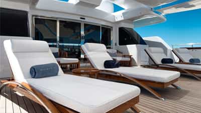 Sun Loungers