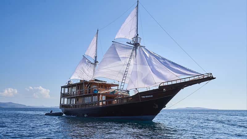 ORACLE 35m sailing yacht charter, photo 2
