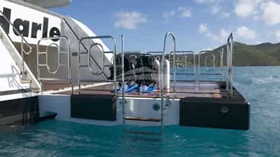 Swim platform & Diving
