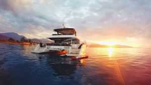 Cute Little Cat at Sunrise