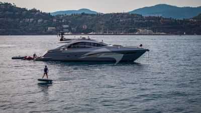 Cherry Profile & Toys