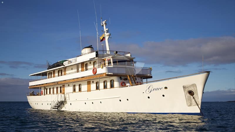 GRACE, Motor