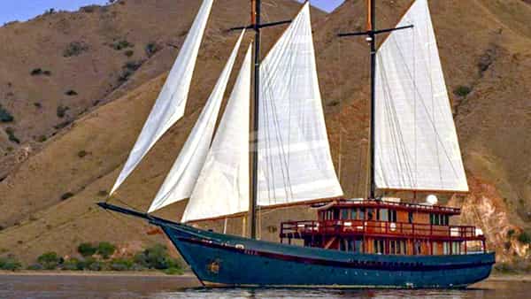 VELA