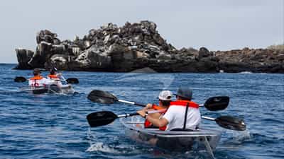 Kayak