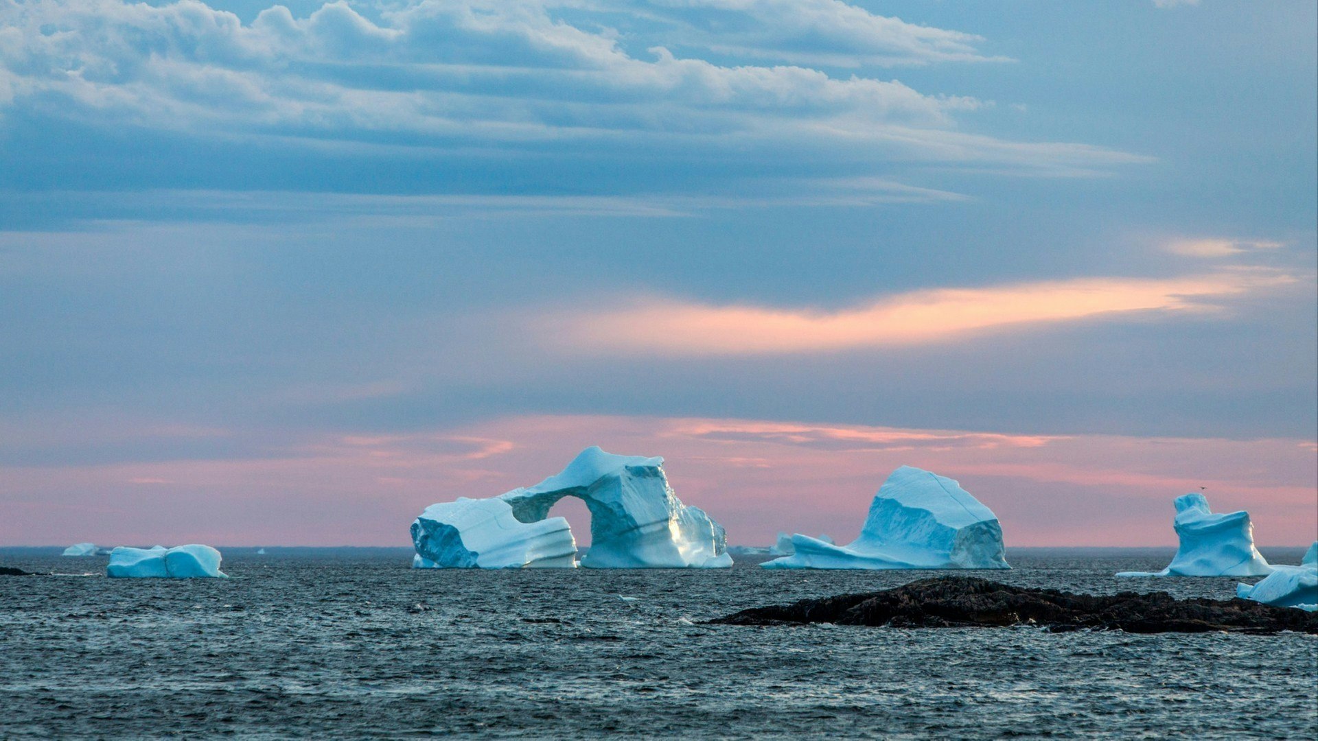 Group of icebergs at sunset, Fogo Island, Newfoundland