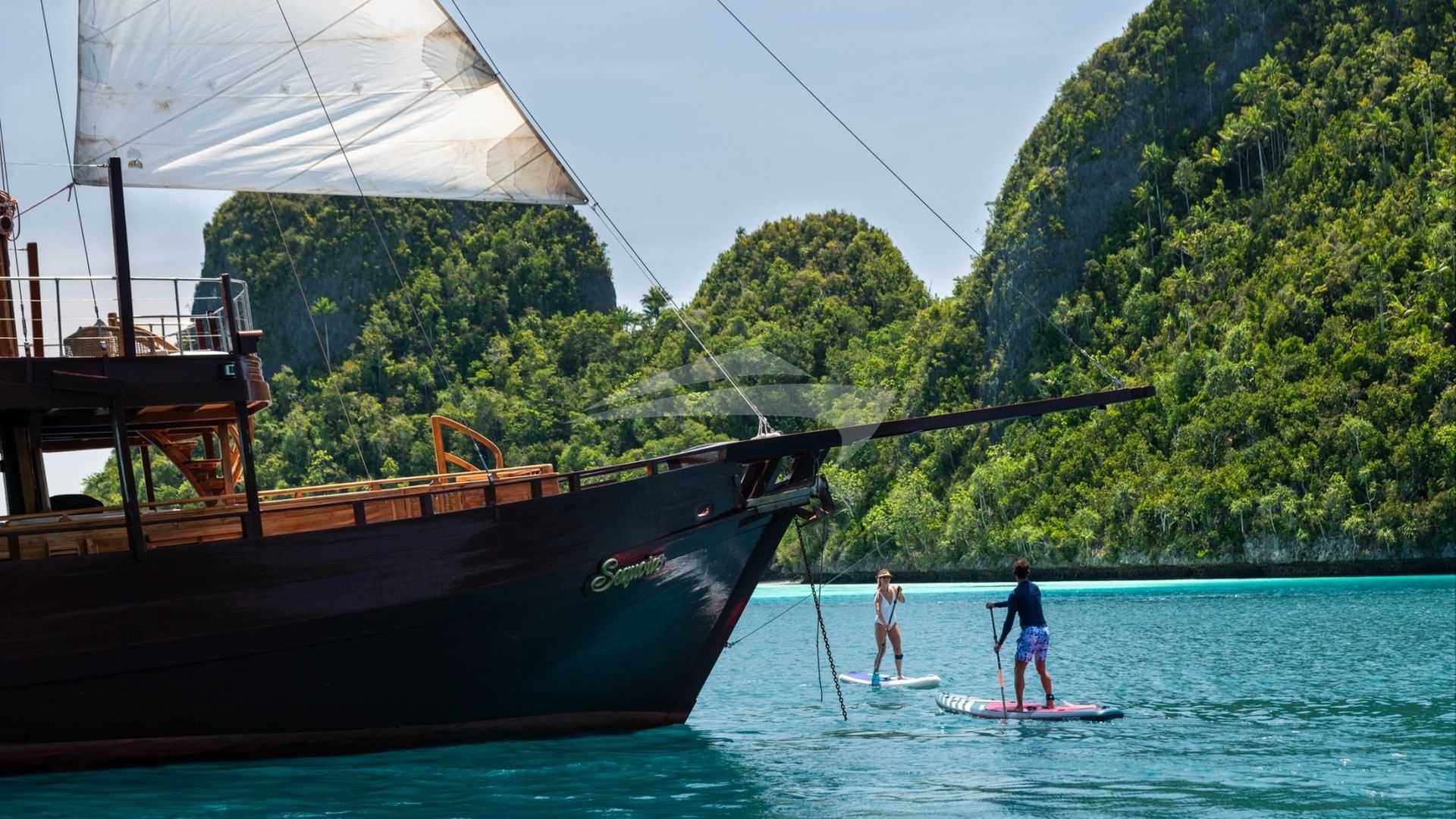 Stand Up Paddleboards