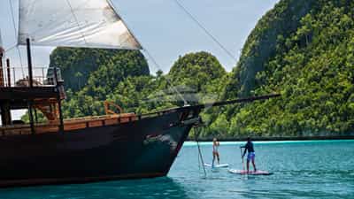 Stand Up Paddleboards