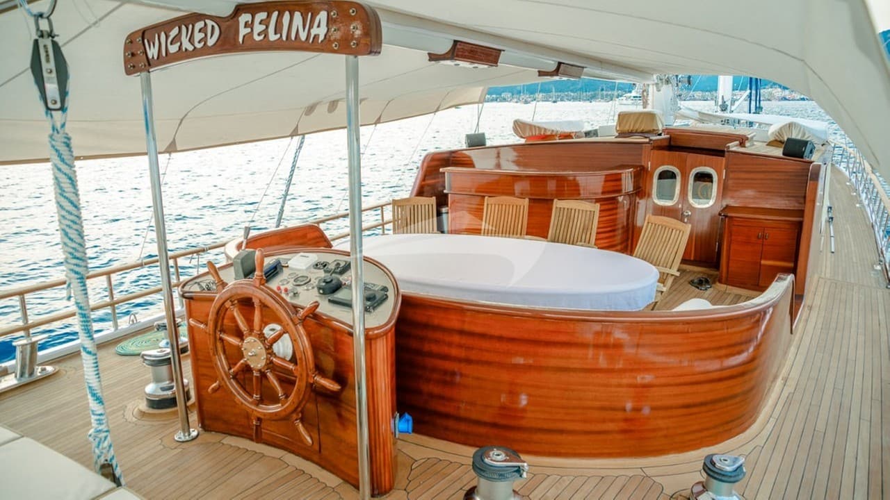WICKED FELINA, photo from the yacht portfolio 8