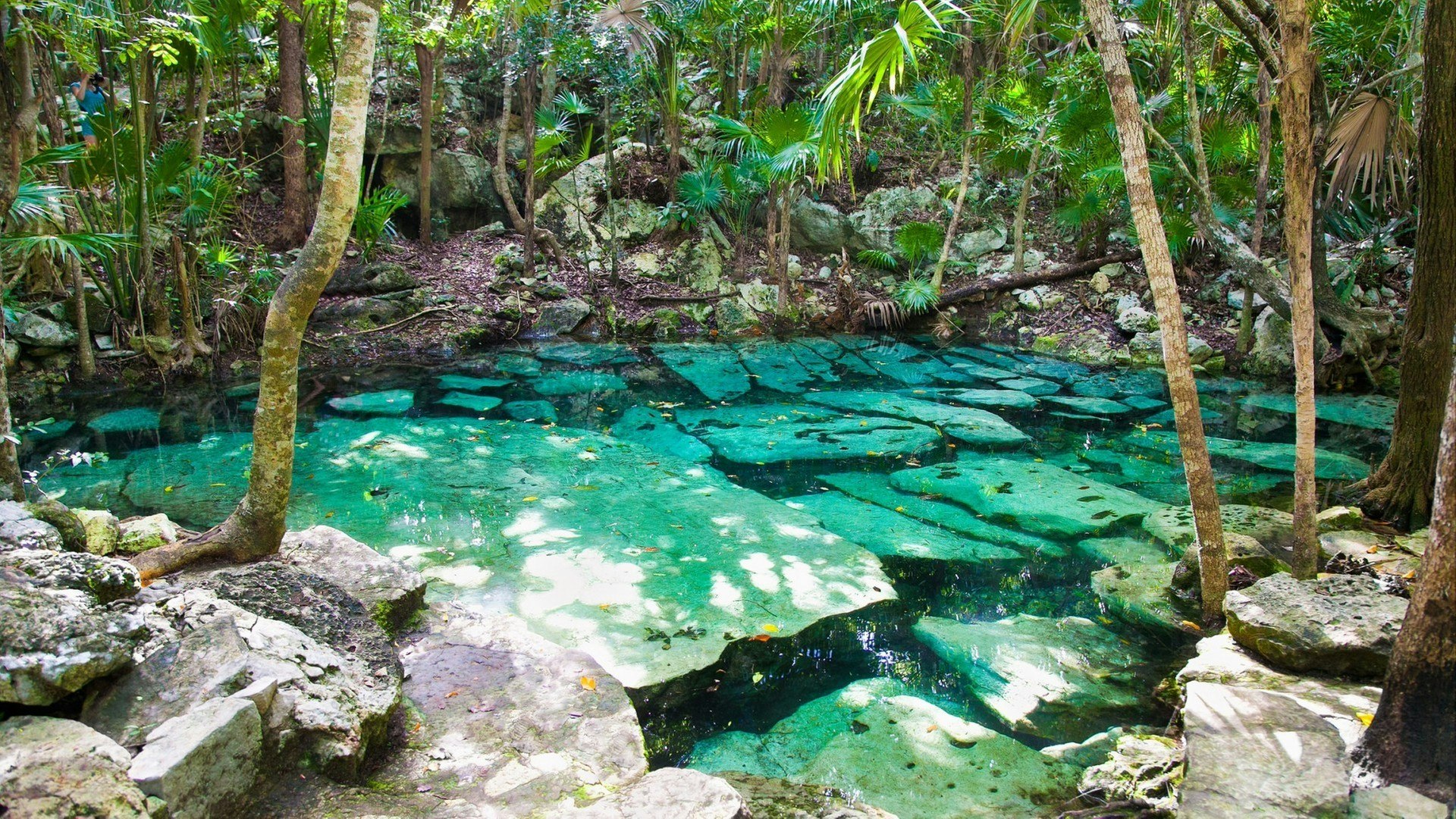 Cenote Azul small lake of mayan jungle in Yucatan