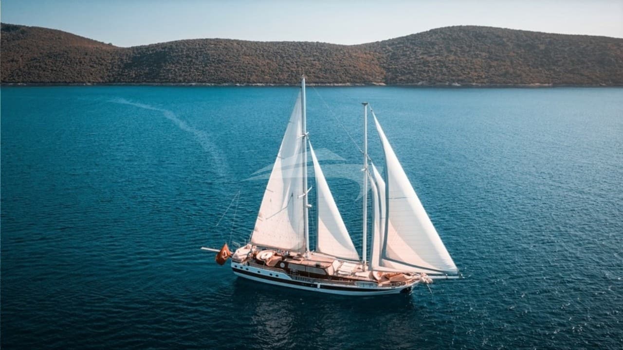 WICKED FELINA, photo from the yacht portfolio 3