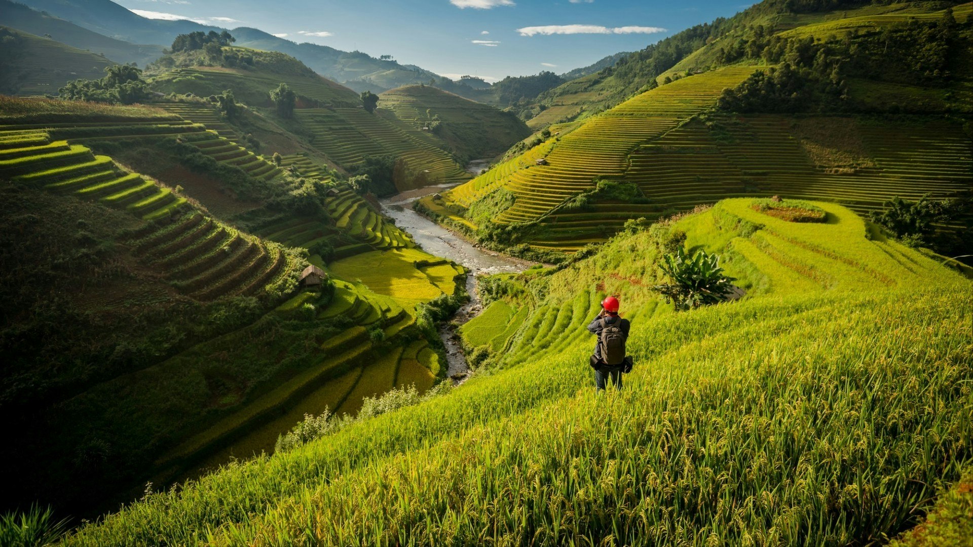 Beautiful Rice Terraces in the evening, South East Asia