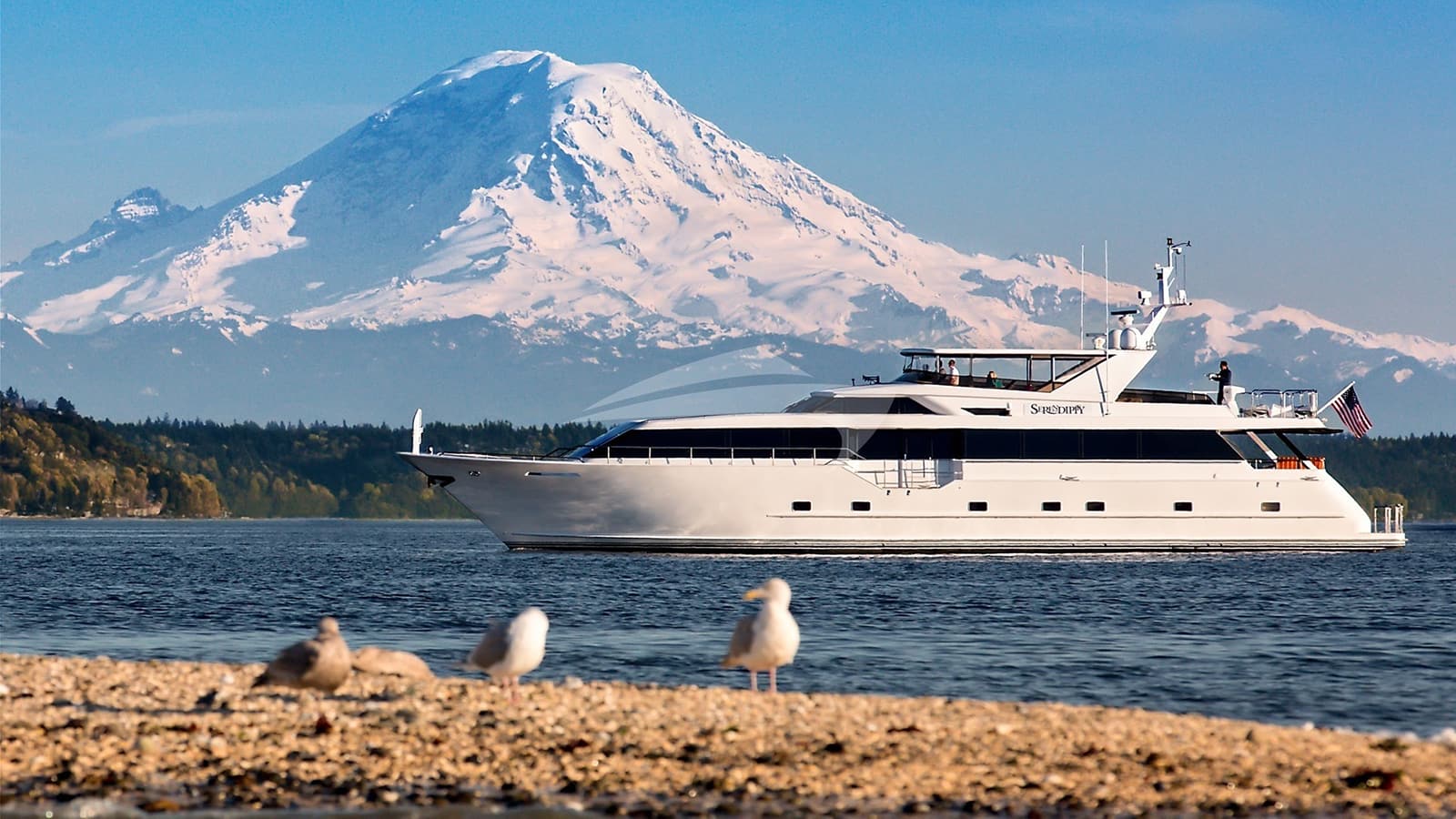 BLACKWOOD, photo from the yacht portfolio 21