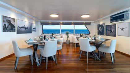 GALAPAGOS HORIZON 38m motor yacht charter, photo 13