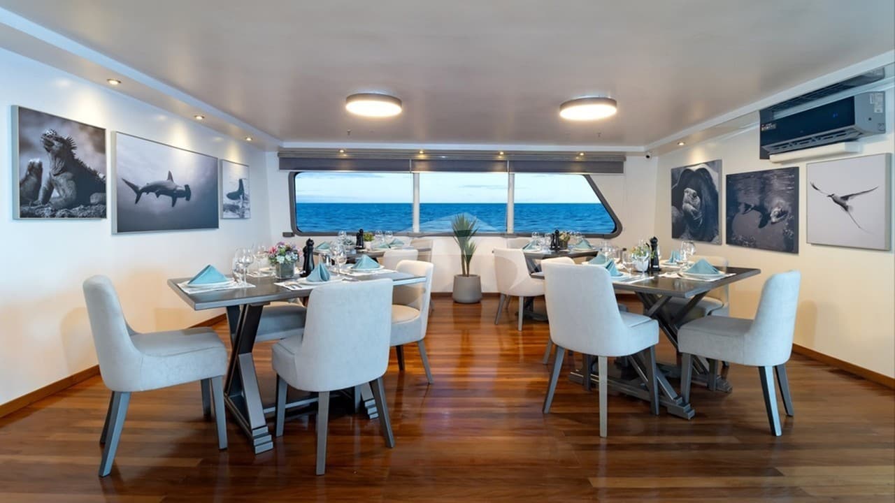 GALAPAGOS HORIZON, photo from the yacht portfolio 12