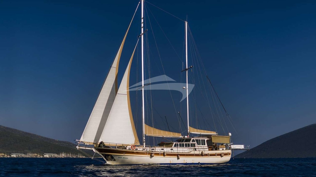 ECE ARINA