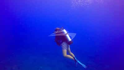 or Dive