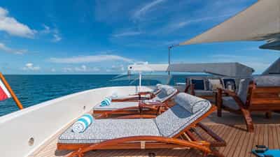 Sundeck Loungers