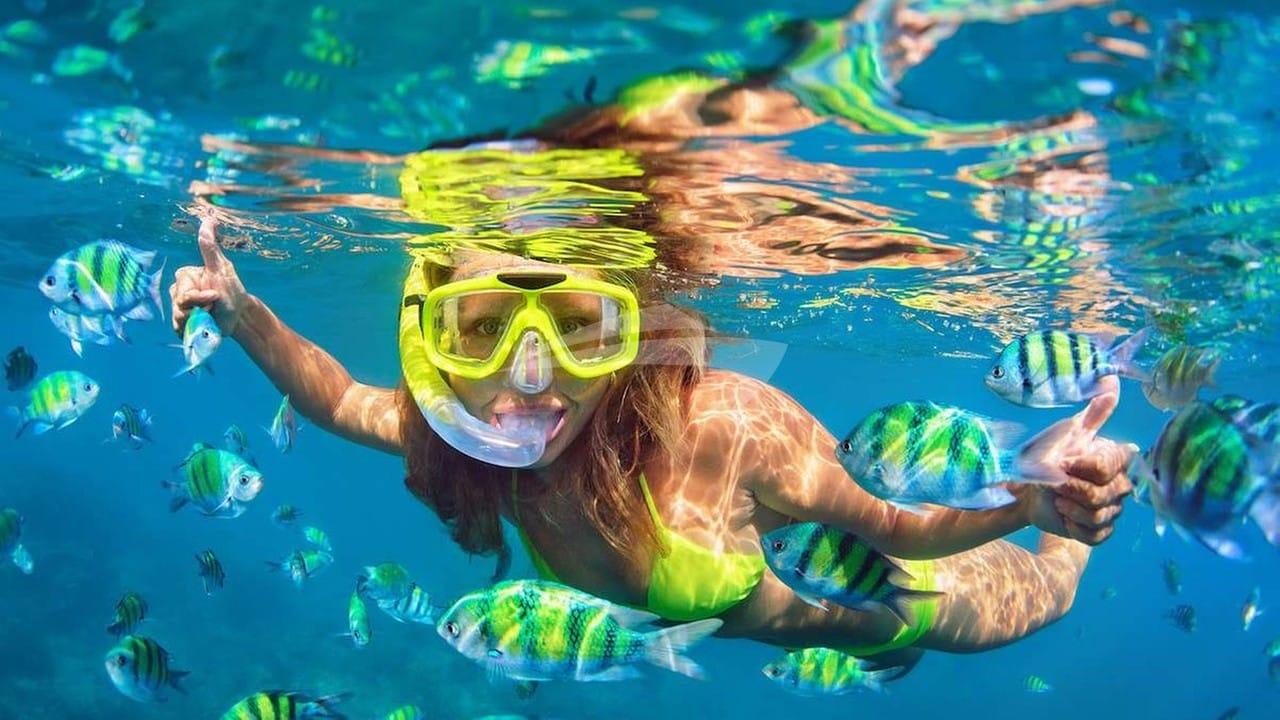 Snorkeling