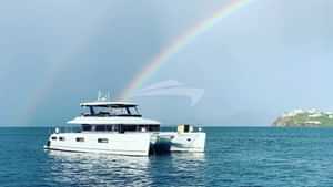 Cute Little Cat at anchor