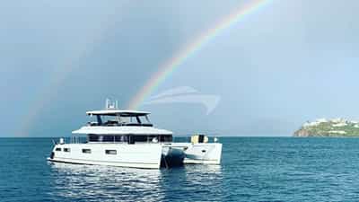 Cute Little Cat at anchor