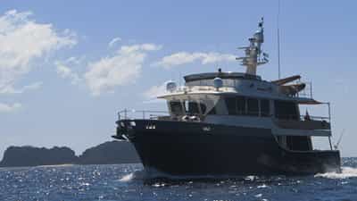 Bow View