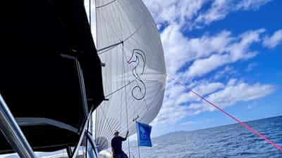 Sailing downwind with Code Zero sail