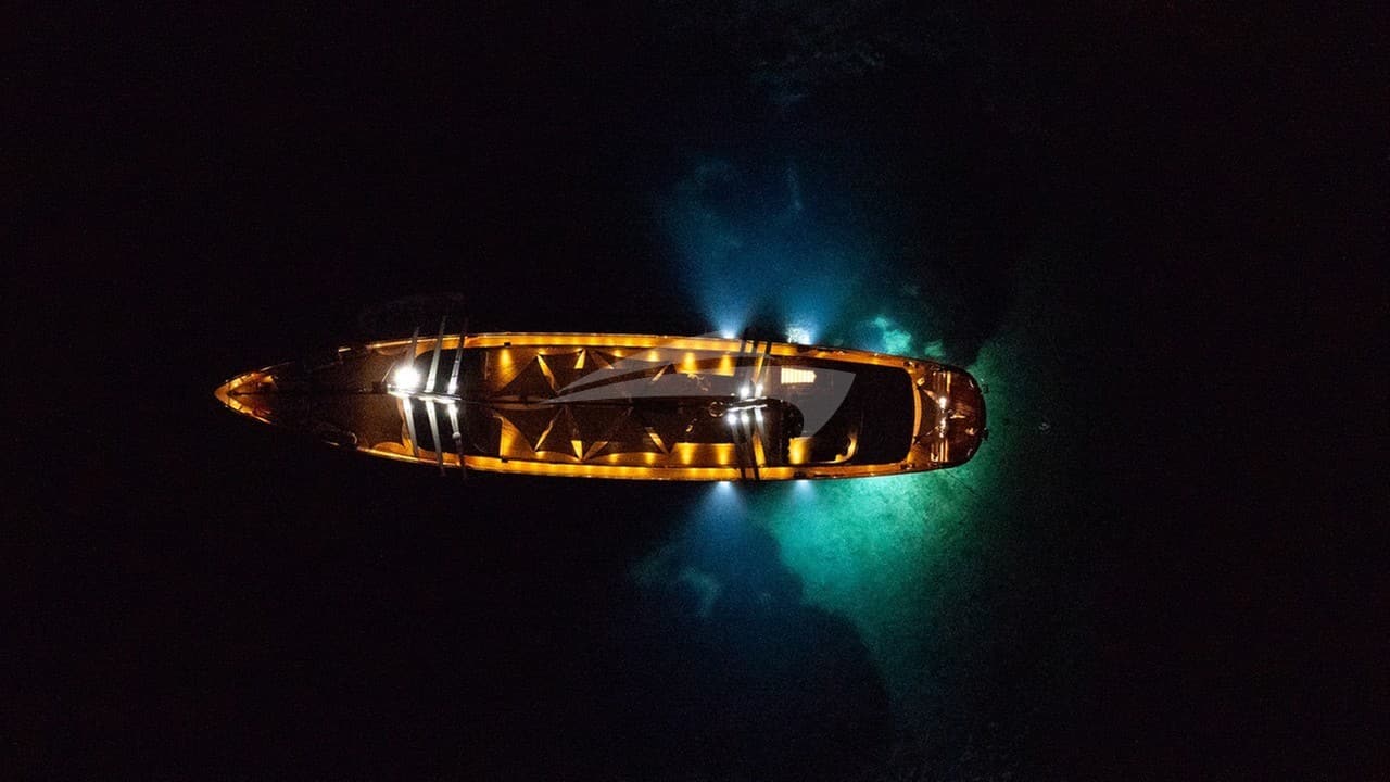 DALMATINO, photo from the yacht portfolio 5