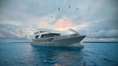 Tribute Exterior View 2