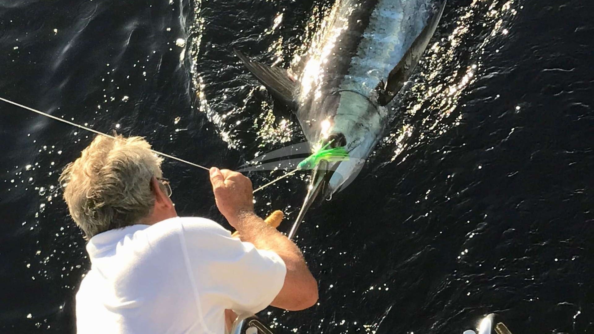 Marlin in the Exuma Sound