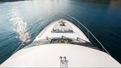 Bow Shot & Sunpads