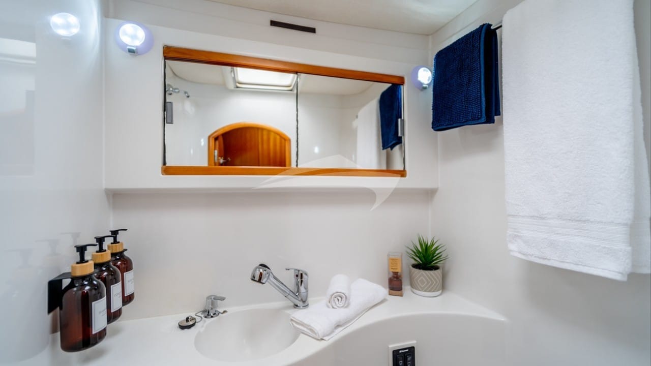 Ensuite Head & Shower