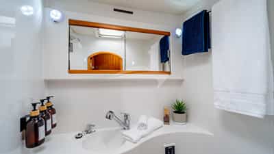 Ensuite Head & Shower