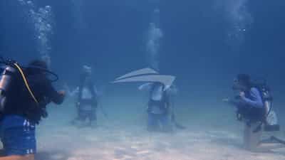 Dive Instruction
