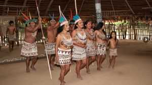 AMAZONASYacht Charter