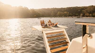 Dive In ! | Swim Platform