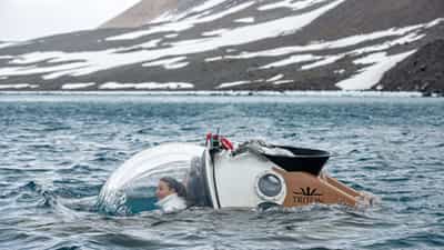 Submersible