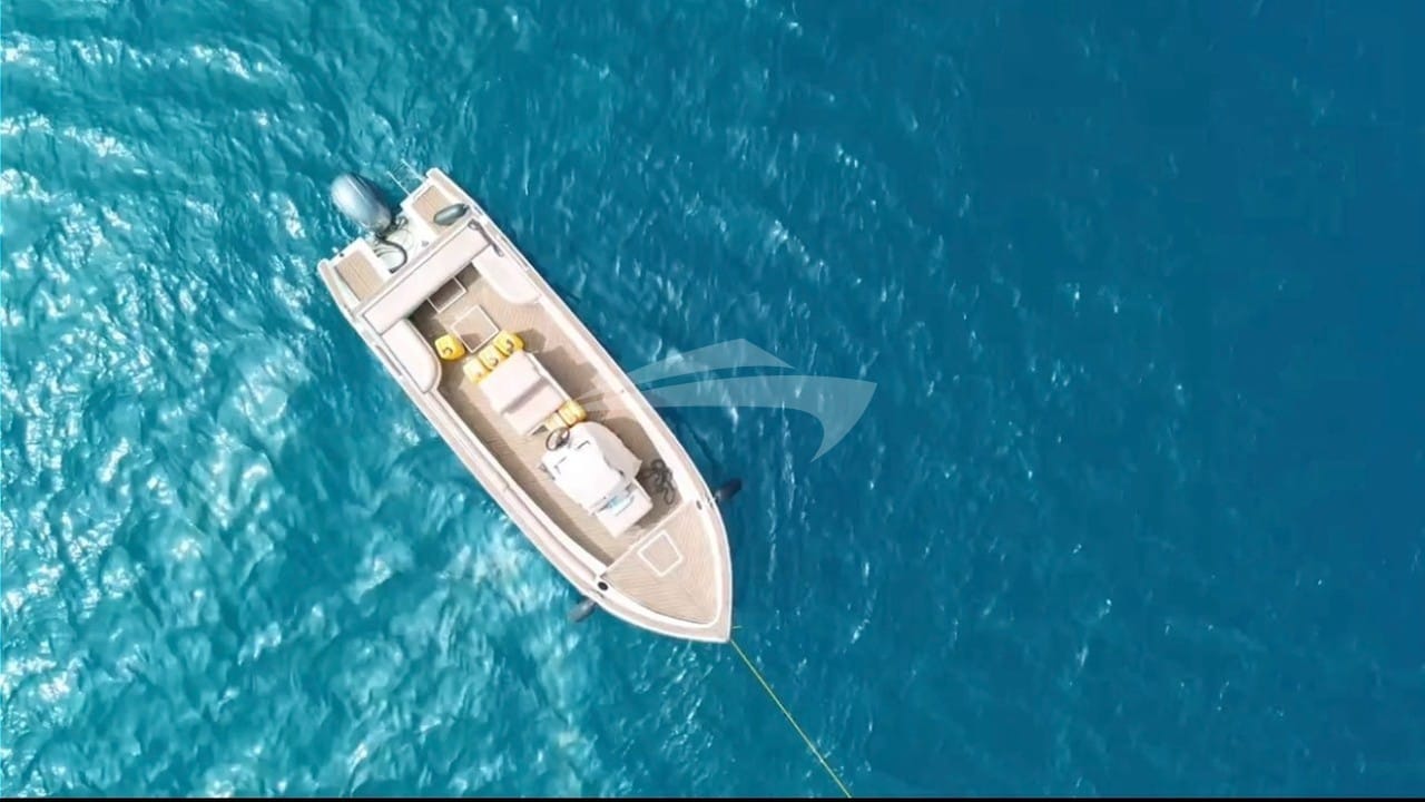 Tender with 115HP Yamaha engine