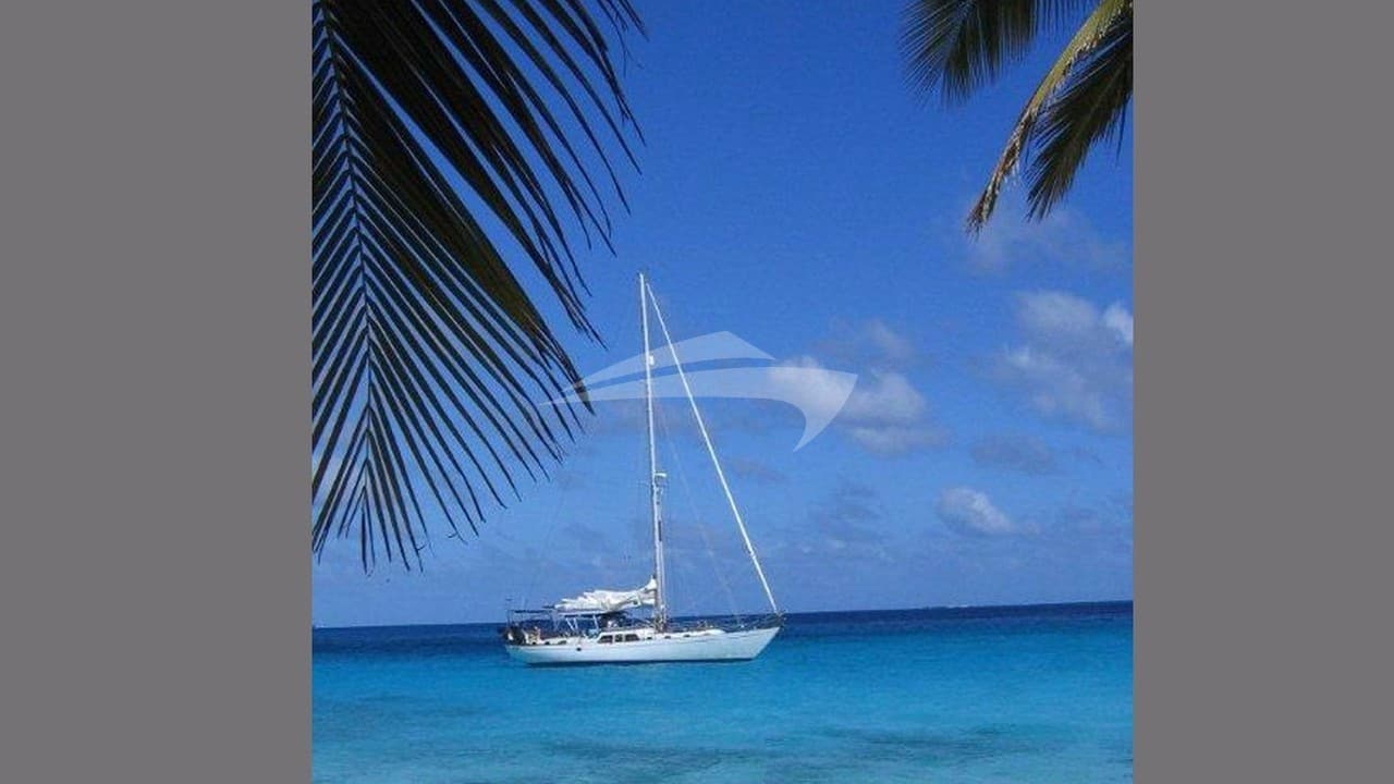 THE DOVE, photo from the yacht portfolio 5
