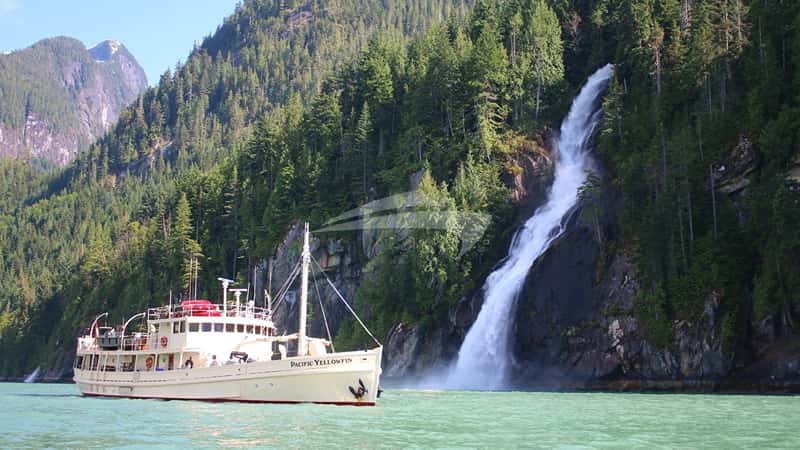 PACIFIC YELLOWFIN 35m motor yacht charter