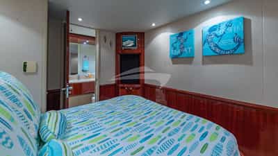 Guest Cabin