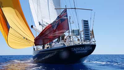 Stern View