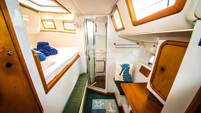 Guest Cabin