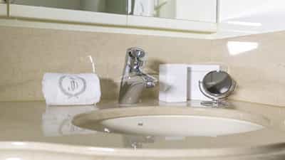 Guest Bathroom Detail