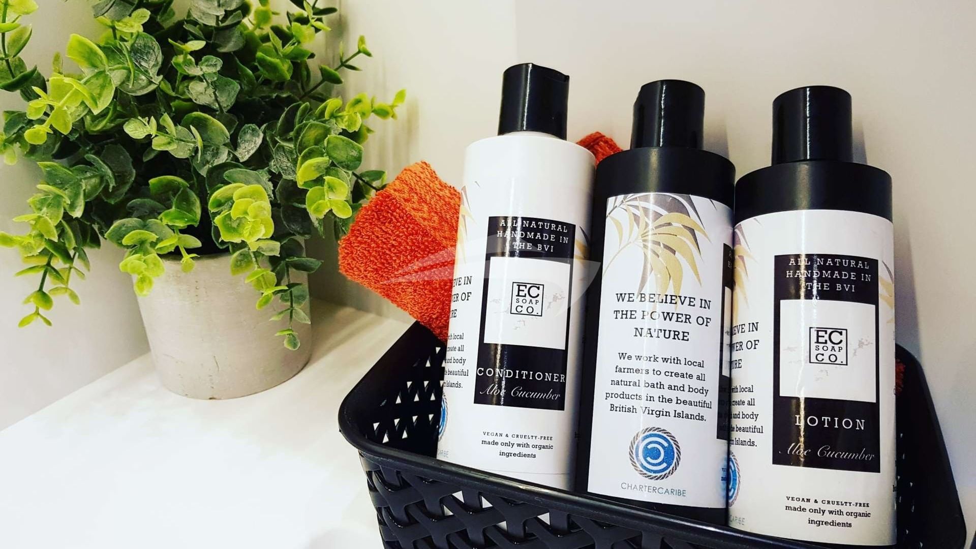 Luxury, eco-friendly brands