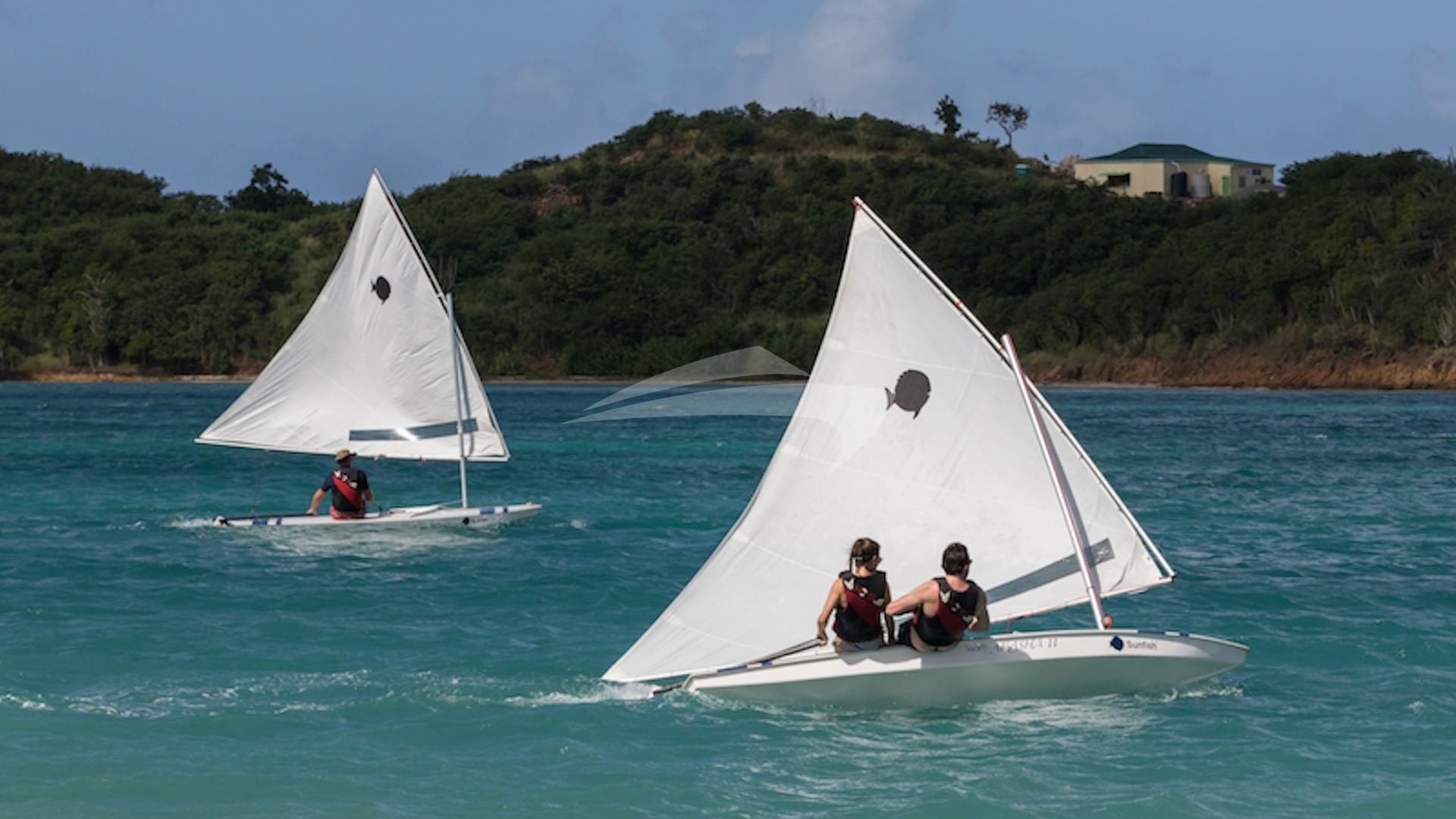 Racing on Akasha's sunfish sailing dinghies