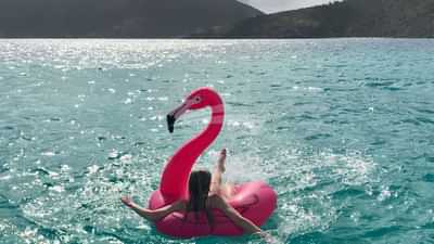 Inflatable flamingo