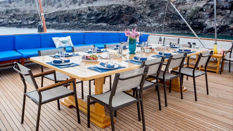PASSION 49m motor yacht charter, photo 7