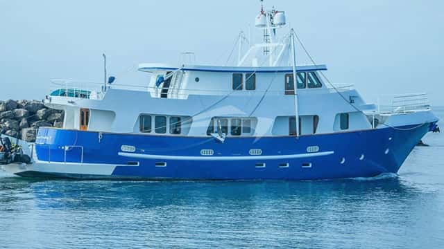 BEAR PAW 27m motor yacht for charter