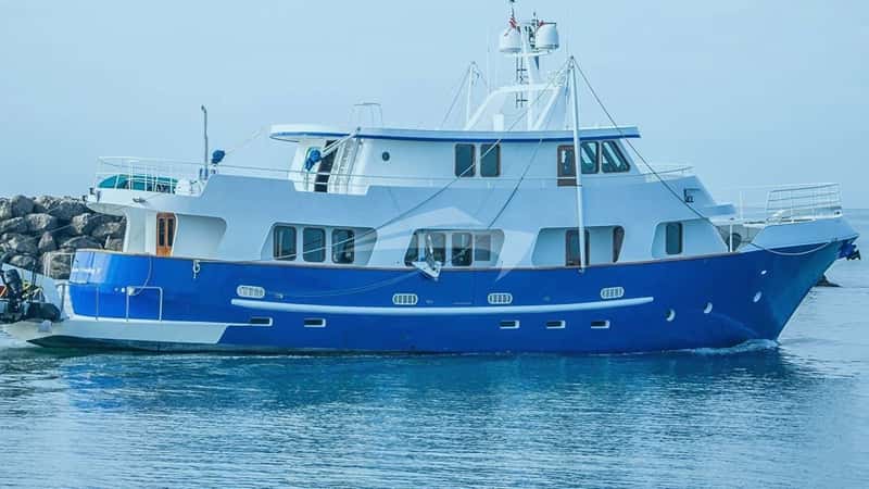 BEAR PAW 27m motor yacht charter